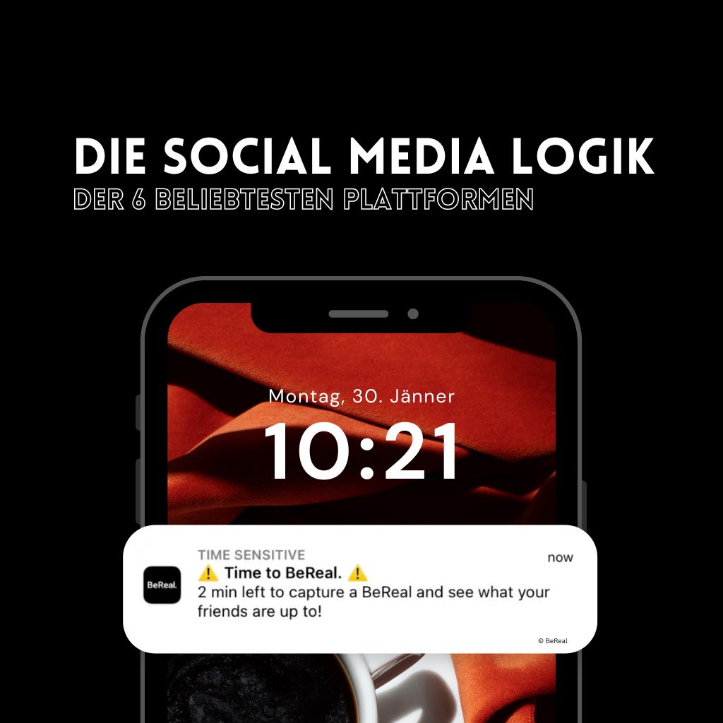 Coverbild zum Artikel Die Social Media Logik der 6 beliebtesten Plattformen von SCHLAWEANA Wiener Marketing Werkstätte