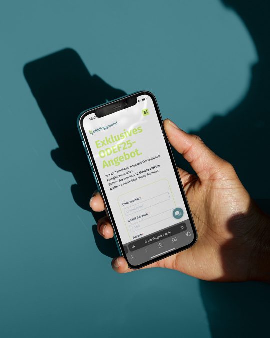 SCHLAWEANA_marketing_agentur_wien_biddingground_offer